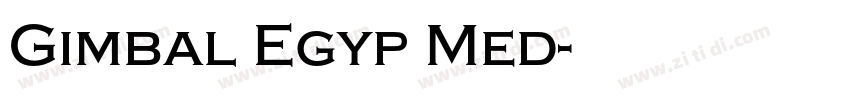 Gimbal Egyp Med字体转换